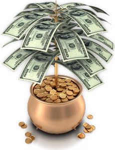 Платные видео опросы